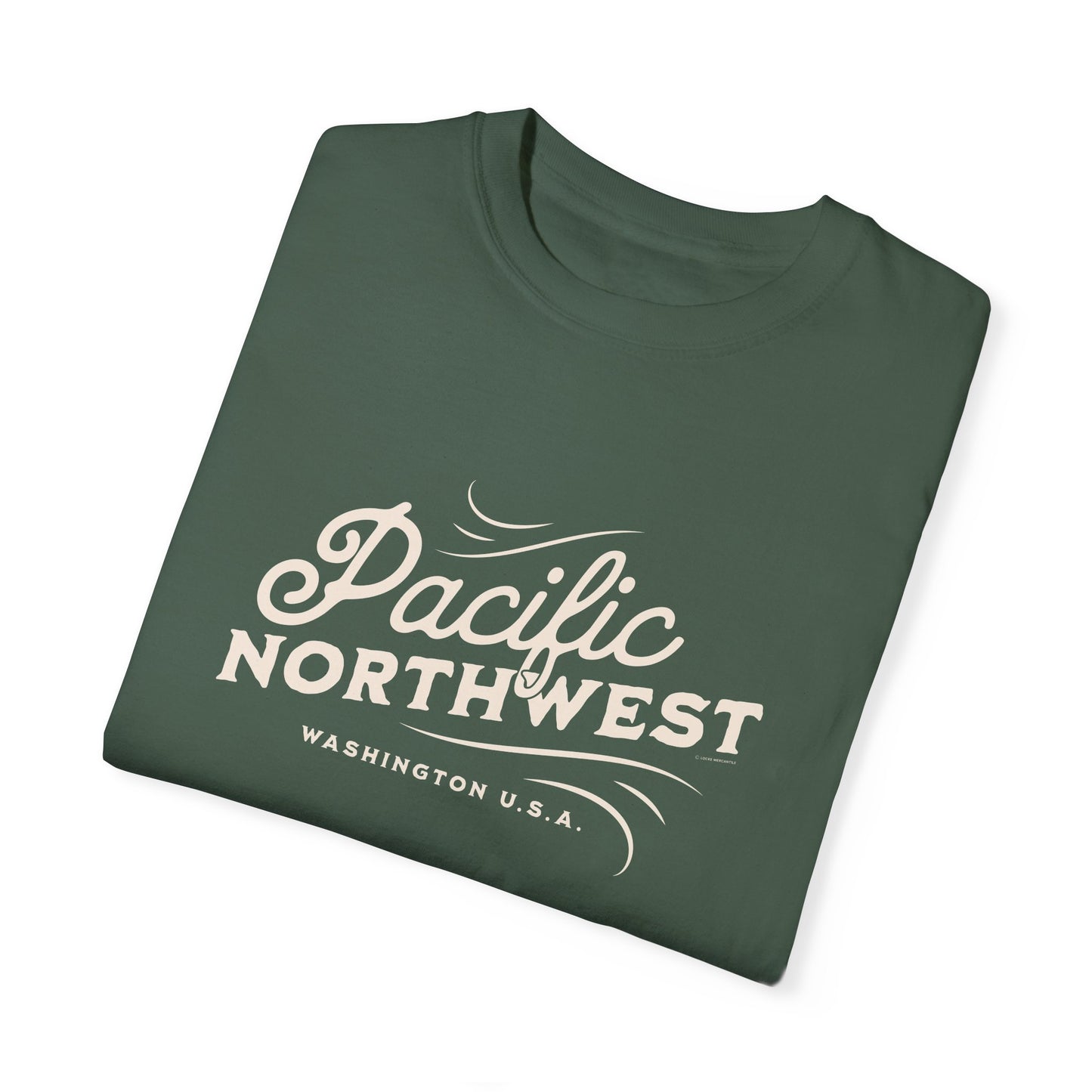 Pacific Northwest Vintage Style Tshirt, Retro Style Hiking Shirt, Nature Lover Gift, Mountain Vibe, Comfort Colors 1717