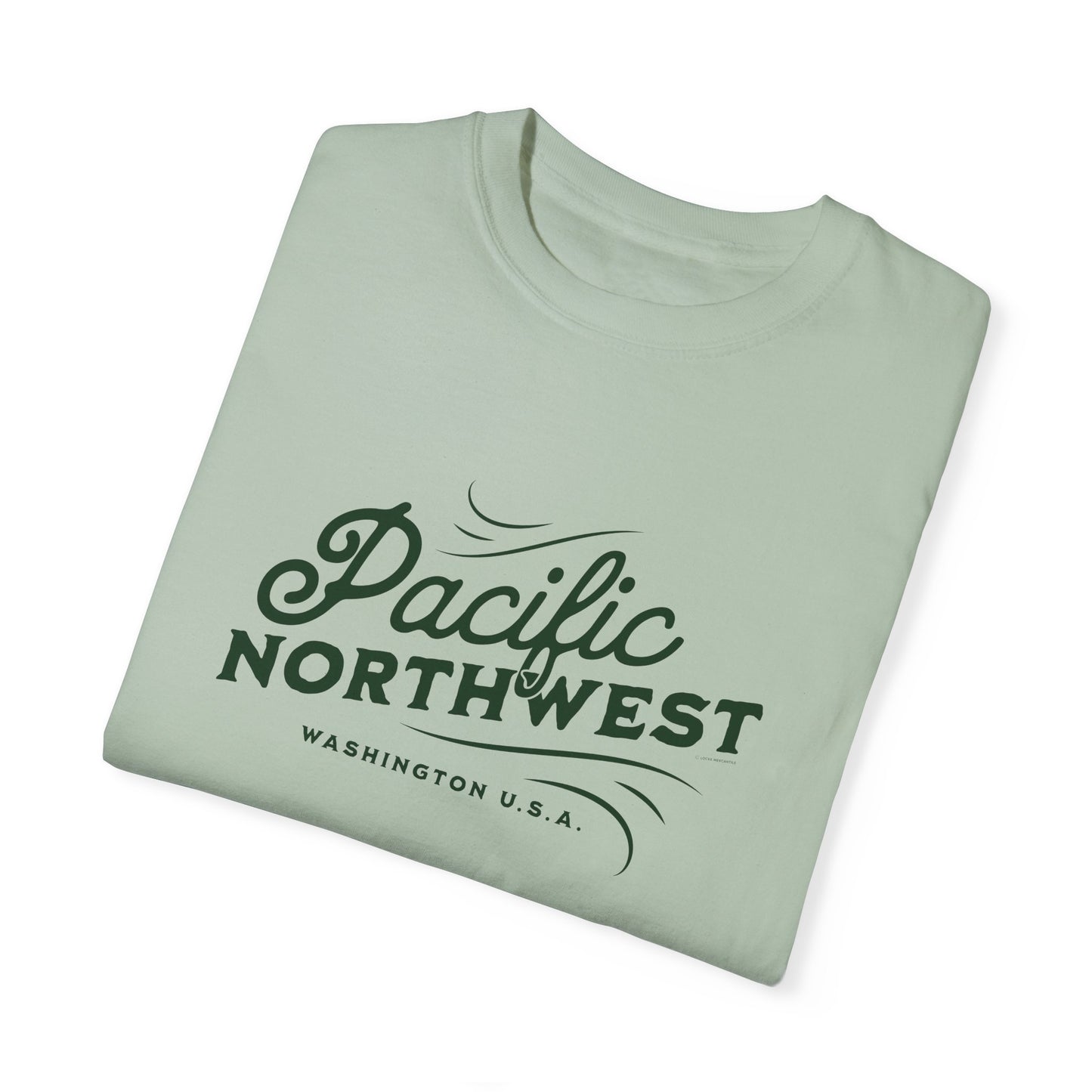 Pacific Northwest Vintage Style Tshirt, Retro Style Hiking Shirt, Nature Lover Gift, Mountain Vibe, Comfort Colors 1717