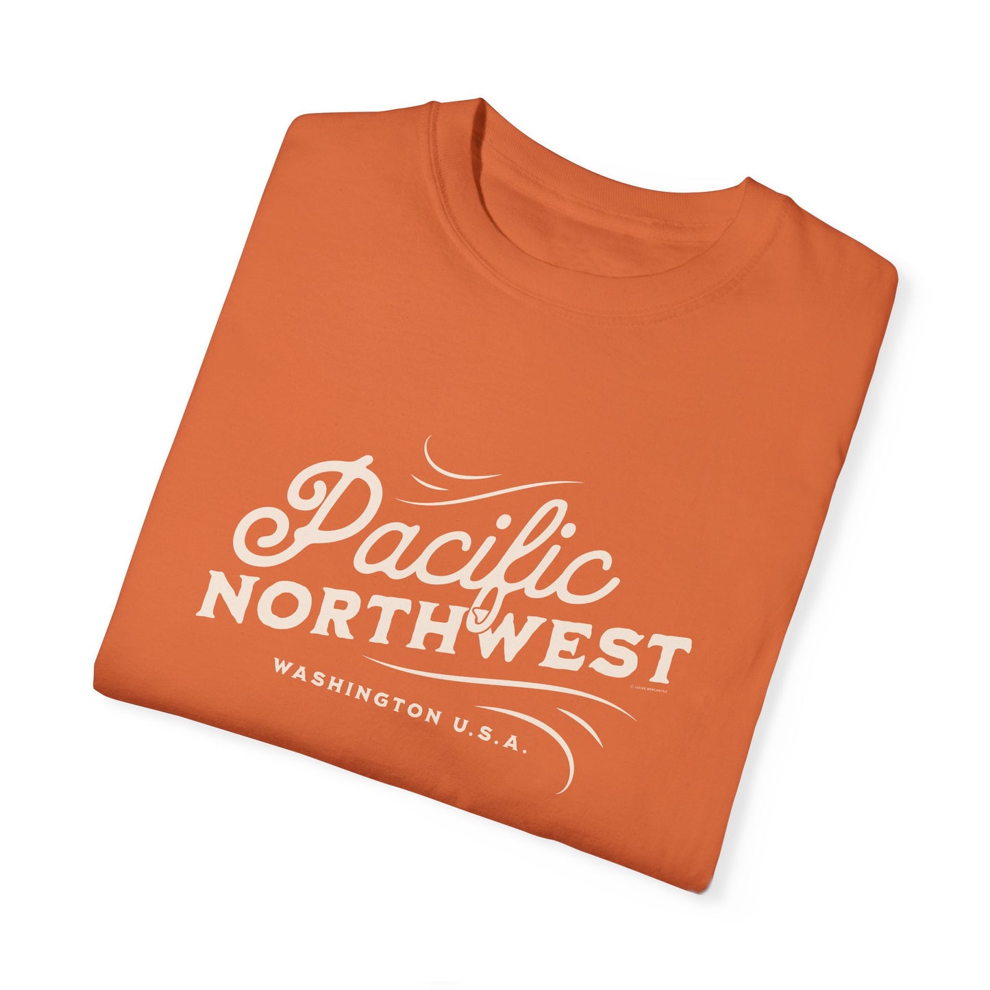Pacific Northwest Vintage Style Tshirt, Retro Style Hiking Shirt, Nature Lover Gift, Mountain Vibe, Comfort Colors 1717